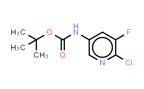1312755-60-4 | tert-butyl N-(6-chloro-5-fluoropyridin-3-yl)carbamate