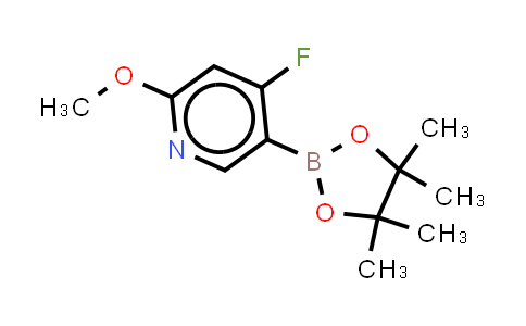 MC860401 | 2223033-80-3 | 4-fluoro-2-methoxy-5-(4,4,5,5-tetramethyl-1,3,2-dioxaborolan-2-yl)pyridine