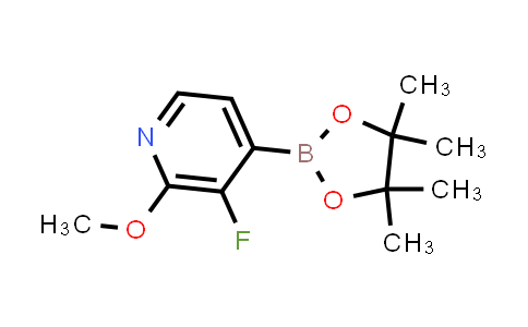 2246589-60-4 | 3-fluoro-2-methoxy-4-(4,4,5,5-tetramethyl-1,3,2-dioxaborolan-2-yl)pyridine