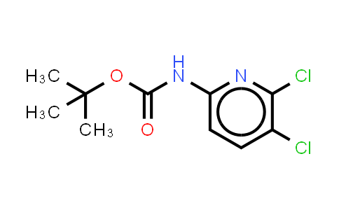 DY860460 | 1801693-96-8 | tert-butyl N-(5,6-dichloro-2-pyridyl)carbamate