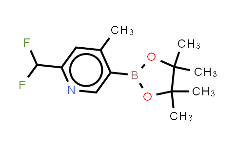 CAS No. 2490680-02-7, 2-(difluoromethyl)-4-methyl-5-(4,4,5,5-tetramethyl-1,3,2-dioxaborolan-2-yl)pyridine