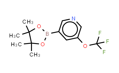 CAS No. 1351380-32-9, 3-(4,4,5,5-tetramethyl-1,3,2-dioxaborolan-2-yl)-5-(trifluoromethoxy)pyridine