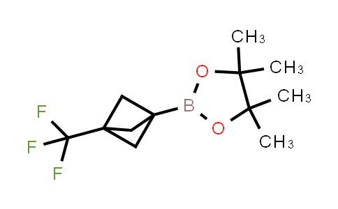 2410440-14-9 | 4,4,5,5-tetramethyl-2-[3-(trifluoromethyl)-1-bicyclo[1.1.1]pentanyl]-1,3,2-dioxaborolane