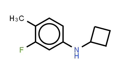 MC861348 | 1248411-33-7 | N-cyclobutyl-3-fluoro-4-methylaniline