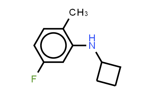 1250137-49-5 | N-cyclobutyl-5-fluoro-2-methylaniline