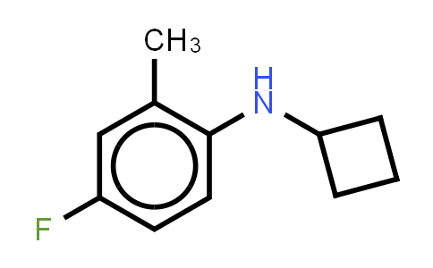 1248065-83-9 | N-cyclobutyl-4-fluoro-2-methylaniline