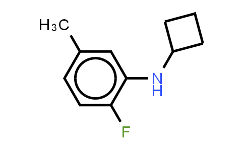 MC861358 | 1250698-67-9 | N-cyclobutyl-2-fluoro-5-methylaniline