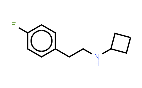 CAS No. 1248822-51-6, N-[2-(4-fluorophenyl)ethyl]cyclobutanamine