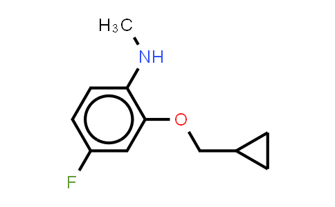 1369950-09-3 | 2-(cyclopropylmethoxy)-4-fluoro-N-methyl-aniline