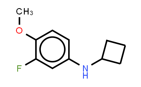 CAS No. 1247082-60-5, N-cyclobutyl-3-fluoro-4-methoxyaniline