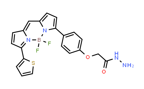 MC862367 | 2183473-48-3 | BDP TR hydrazide